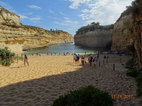 Great Ocean Road Small-Group Ecotour From Melbourne - Accommodation Brunswick Heads 23