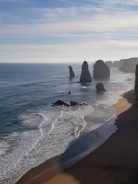 Great Ocean Road Small-Group Ecotour From Melbourne - Accommodation Brunswick Heads 8