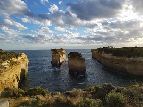 Great Ocean Road Small-Group Ecotour From Melbourne - Accommodation Brunswick Heads 11