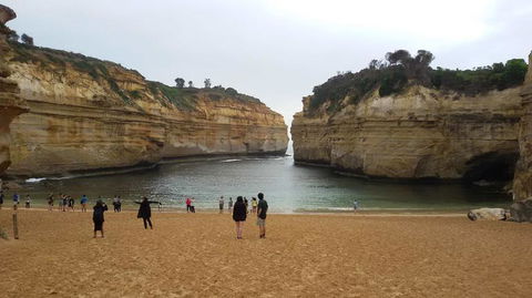 Great Ocean Road Small-Group Ecotour From Melbourne - Accommodation Brunswick Heads 20