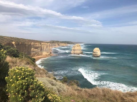 Great Ocean Road Small-Group Ecotour From Melbourne - Accommodation Brunswick Heads 16