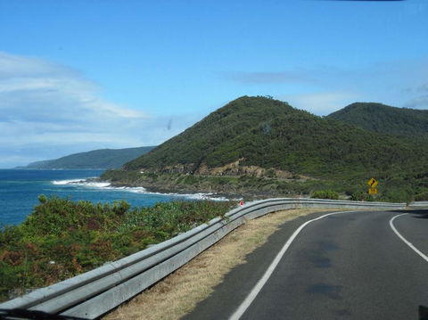 Great Ocean Road Small-Group Ecotour From Melbourne - Accommodation Brunswick Heads 3
