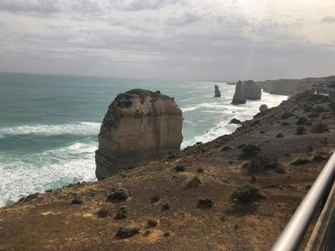 Great Ocean Road Small-Group Ecotour From Melbourne - Accommodation Brunswick Heads 14