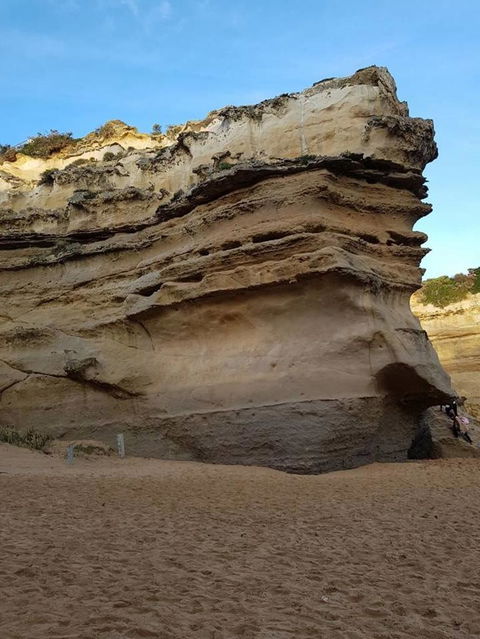Great Ocean Road Small-Group Ecotour From Melbourne - Accommodation Brunswick Heads 10
