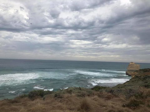 Great Ocean Road Small-Group Ecotour From Melbourne - Accommodation Brunswick Heads 12