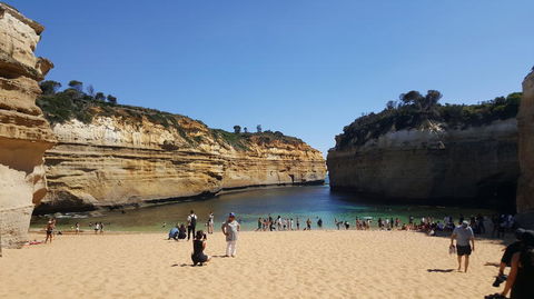 Great Ocean Road Small-Group Ecotour From Melbourne - Accommodation Brunswick Heads 19