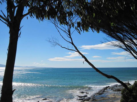 Great Ocean Road Small-Group Ecotour From Melbourne - Accommodation Brunswick Heads 4