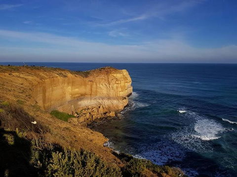 Great Ocean Road Small-Group Ecotour From Melbourne - Accommodation Brunswick Heads 9