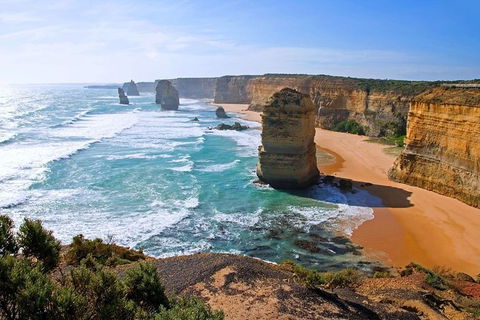 Great Ocean Road Small-Group Ecotour From Melbourne - Accommodation Brunswick Heads 0