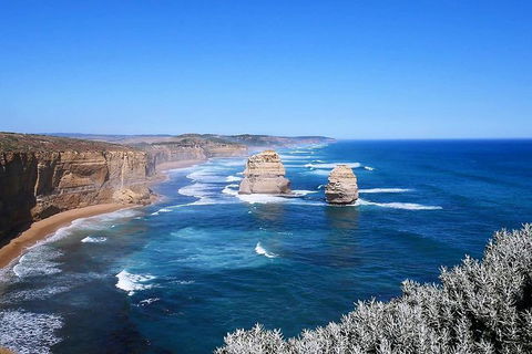 Great Ocean Road Small-Group Ecotour From Melbourne - Accommodation Brunswick Heads 31