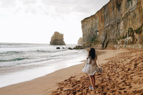 Great Ocean Road Small-Group Ecotour From Melbourne - Accommodation Brunswick Heads 27