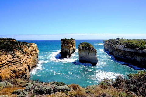 Great Ocean Road Small-Group Ecotour From Melbourne - Accommodation Brunswick Heads 30