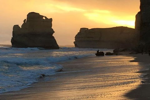 Great Ocean Road Small-Group Ecotour From Melbourne - Accommodation Brunswick Heads 33