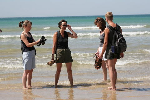 Great Ocean Road Small-Group Ecotour From Melbourne - Accommodation Brunswick Heads 34
