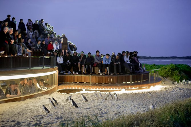 Phillip Island VIC Accommodation Brunswick Heads