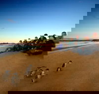 Phillip Island Ultimate Penguin Eco Tour or Skybox Experience - Accommodation Brunswick Heads