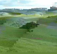 Day Tour of Phillip Island  Surrounding Region - Accommodation Brunswick Heads