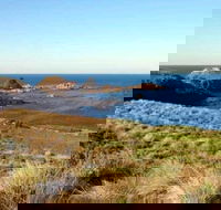 Phillip Island Walking  Bird Watching Tour - Accommodation Brunswick Heads