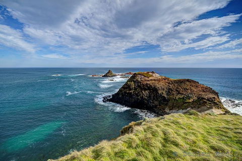 Great Ocean Road Reverse Itinerary And Phillip Island 2 Day Wildlife Encounter - Accommodation Brunswick Heads 12