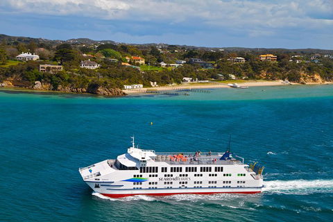 Great Ocean Road Reverse Itinerary And Phillip Island 2 Day Wildlife Encounter - Accommodation Brunswick Heads 15
