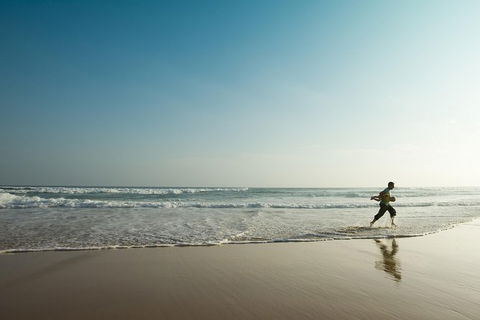 Great Ocean Road Reverse Itinerary And Phillip Island 2 Day Wildlife Encounter - Accommodation Brunswick Heads 3