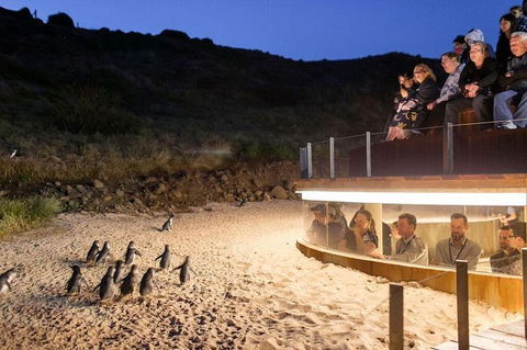 Great Ocean Road Reverse Itinerary And Phillip Island 2 Day Wildlife Encounter - Accommodation Brunswick Heads 9