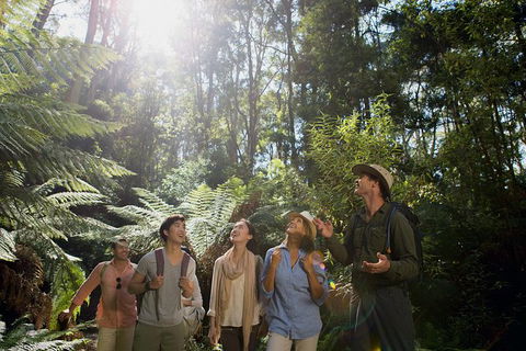 Great Ocean Road Reverse Itinerary And Phillip Island 2 Day Wildlife Encounter - Accommodation Brunswick Heads 13