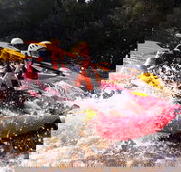 Whitewater Sports rafting on the Yarra river - Accommodation Brunswick Heads