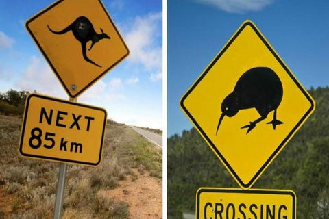 Aroha Tangata Australia And New Zealand 20 Day - Accommodation Brunswick Heads 0