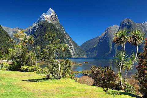 Aroha Tangata Australia And New Zealand 20 Day - Accommodation Brunswick Heads 1