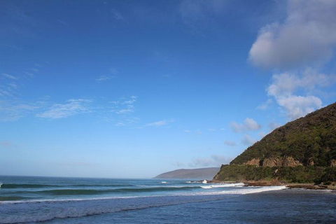 Great Ocean Road Small Group (8) Day Tour With Early Departure And Early Return - Accommodation Brunswick Heads 3