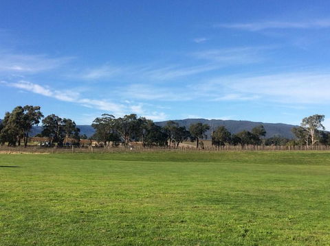 Yarra Valley Wineries And Puffing Billy Steam Train Tour From Melbourne - Accommodation Brunswick Heads 17