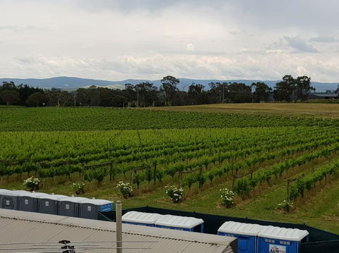 Yarra Valley Wineries And Puffing Billy Steam Train Tour From Melbourne - Accommodation Brunswick Heads 4