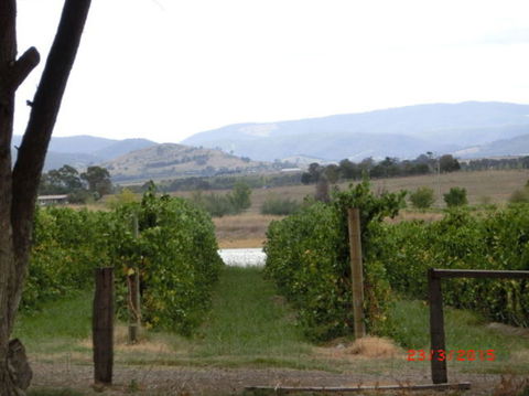 Yarra Valley Wineries And Puffing Billy Steam Train Tour From Melbourne - Accommodation Brunswick Heads 25
