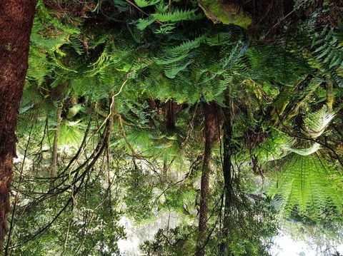 Yarra Valley Wineries And Puffing Billy Steam Train Tour From Melbourne - Accommodation Brunswick Heads 6