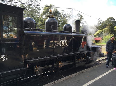 Yarra Valley Wineries And Puffing Billy Steam Train Tour From Melbourne - Accommodation Brunswick Heads 13