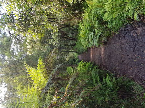 Yarra Valley Wineries And Puffing Billy Steam Train Tour From Melbourne - Accommodation Brunswick Heads 8