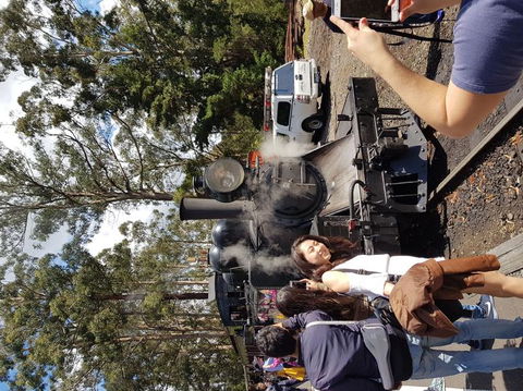 Yarra Valley Wineries And Puffing Billy Steam Train Tour From Melbourne - Accommodation Brunswick Heads 5