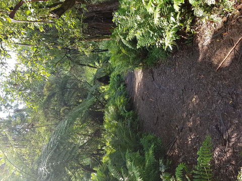 Yarra Valley Wineries And Puffing Billy Steam Train Tour From Melbourne - Accommodation Brunswick Heads 9