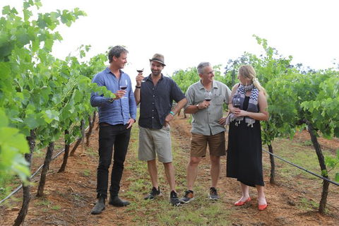 Yarra Valley Wineries And Puffing Billy Steam Train Tour From Melbourne - Accommodation Brunswick Heads 29