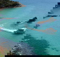 Cape Woolamai Sightseeing Cruise from San Remo - Accommodation Brunswick Heads