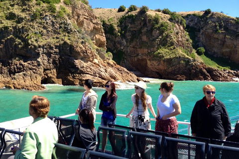 Cape Woolamai Sightseeing Cruise From San Remo - Accommodation Brunswick Heads 1