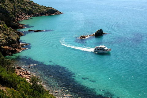 Cape Woolamai Sightseeing Cruise From San Remo - Accommodation Brunswick Heads 3