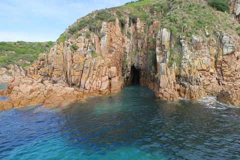 Cape Woolamai Sightseeing Cruise From San Remo - Accommodation Brunswick Heads 4