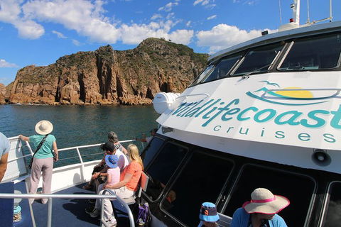 Cape Woolamai Sightseeing Cruise From San Remo - Accommodation Brunswick Heads 9