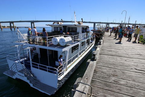 Cape Woolamai Sightseeing Cruise From San Remo - Accommodation Brunswick Heads 7