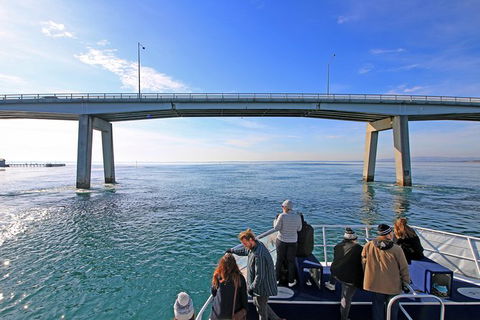 Cape Woolamai Sightseeing Cruise From San Remo - Accommodation Brunswick Heads 5