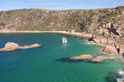 Cape Woolamai Sightseeing Cruise From San Remo - Accommodation Brunswick Heads 6