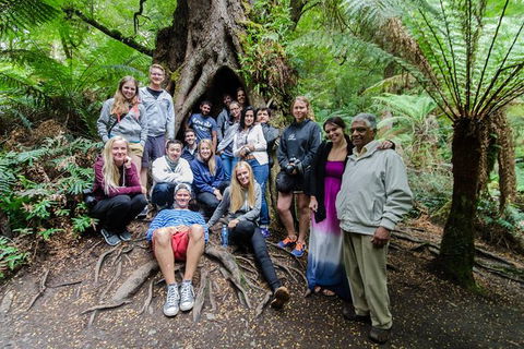 Great Ocean Road And Grampians 2 Day Short Break Escape From Melbourne - Accommodation Brunswick Heads 5