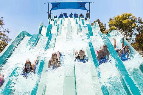 Adventure Park Geelong: General Admission Ticket - Accommodation Brunswick Heads 1